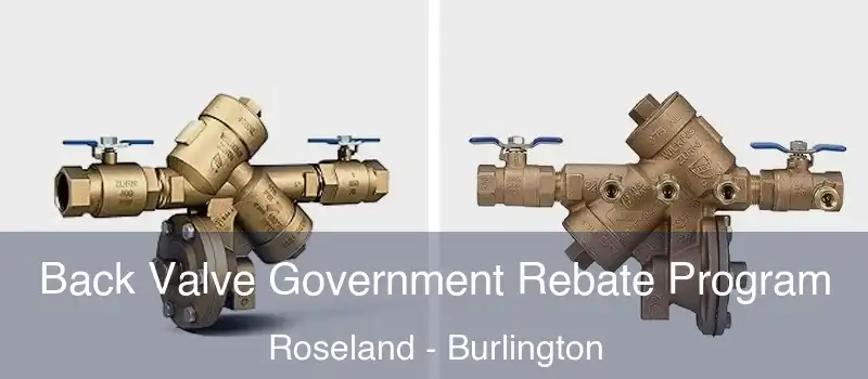  Back Valve Government Rebate Program Roseland - Burlington