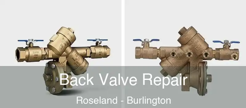  Back Valve Repair Roseland - Burlington