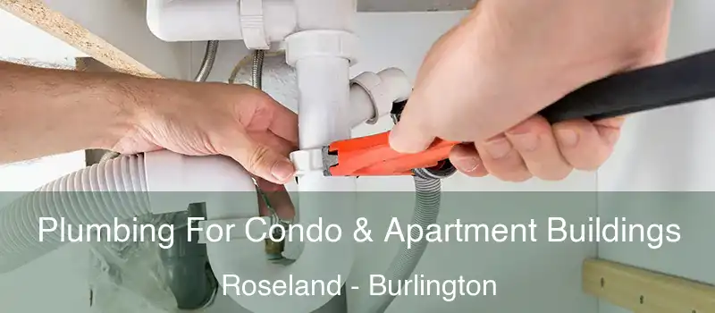  Plumbing For Condo & Apartment Buildings Roseland - Burlington