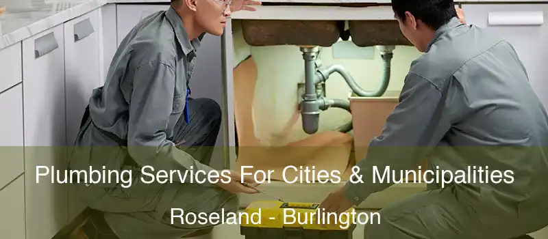  Plumbing Services For Cities & Municipalities Roseland - Burlington