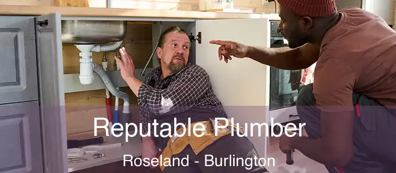  Reputable Plumber Roseland - Burlington