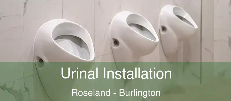  Urinal Installation Roseland - Burlington